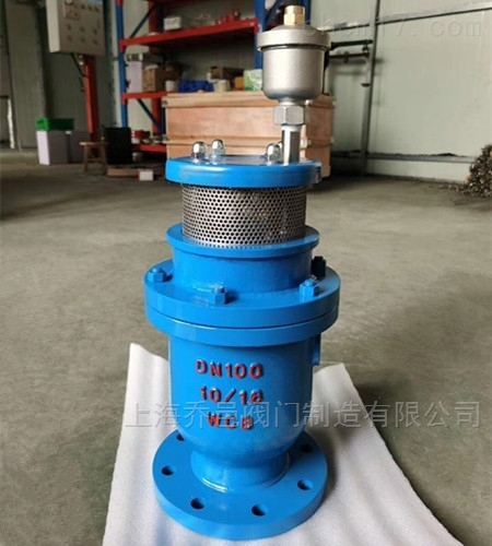 高流量组合排气阀